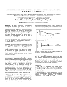 CAMBIOS EN LA CALIDAD DE PAPA FRESCA CV. ALPHA