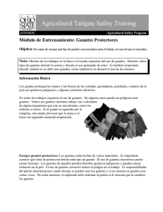 NASD: Guantes Protectores