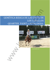 Genética básica de los colores de capa de los caballos