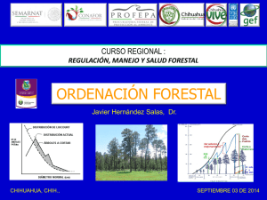 ordenación forestal