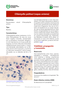 Chlamydia psittaci (cepas aviares) - Instituto Nacional de Seguridad