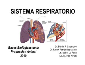 clase 6 sistema respiratorio