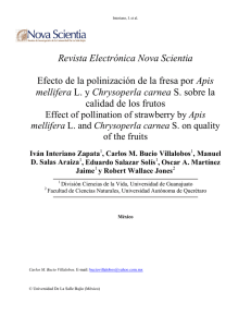 Revista Electrónica Nova Scientia Efecto de la polinización de la
