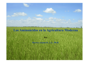Los Aminoácidos en la Agricultura Moderna