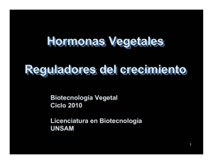 hormona vegetal