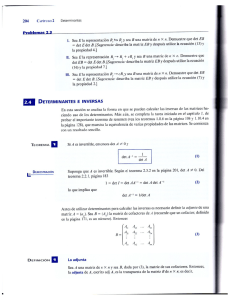 204 CAPÍTULO 2 Determinantes