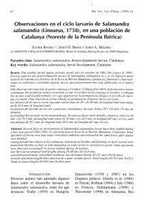 Observaciones en el ciclo larvario de Salamandra