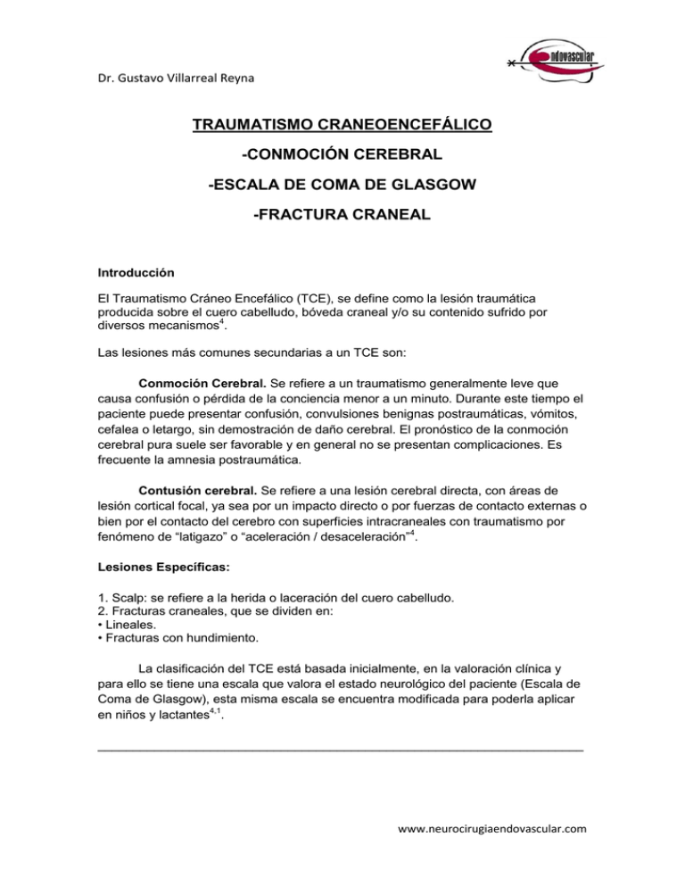Traumatismo Craneoencef lico conmoci n Cerebral