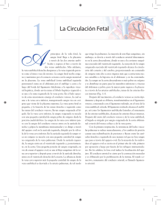 La Circulación Fetal