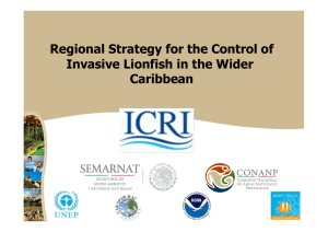 The Regional Lionfish Committee - International Coral Reef Initiative