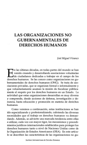 las organizaciones no gubernamentales de derechos humanos