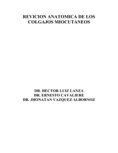 Revisión Anatómica en los Colgajos Miocutaneos