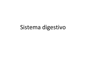 Teo#4_SistDigest