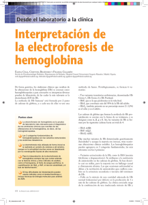 Interpretación de la electroforesis de hemoglobina