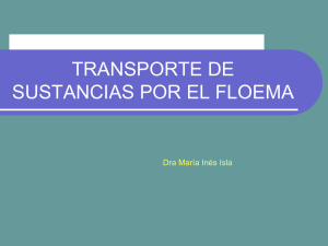 TRANSPORTE DE SUSTANCIAS POR EL FLOEMA