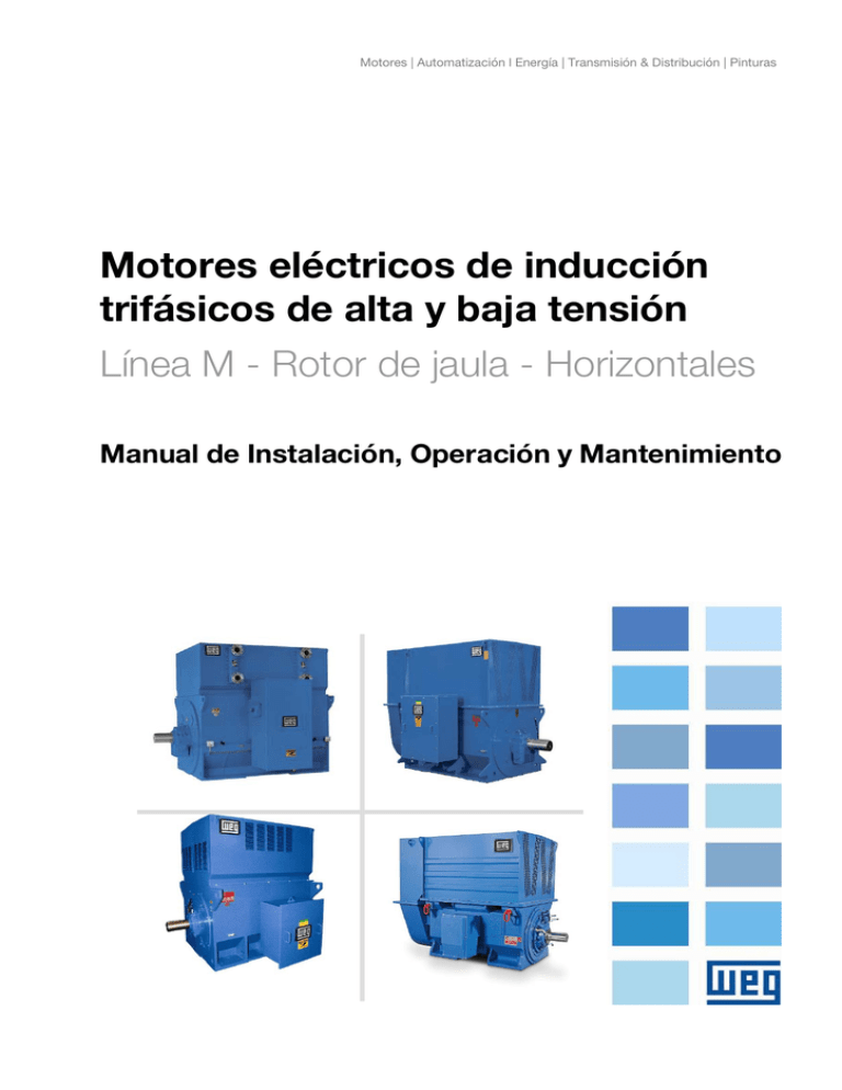 Motores Eléctricos De Inducción Trifásicos De Alta Y Baja