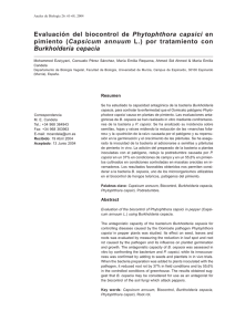 Evaluación del biocontrol de Phytophthora capsici en pimiento