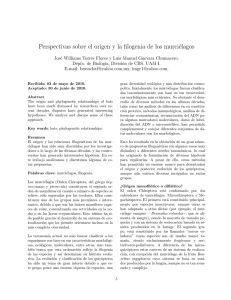 Perspectivas sobre el origen y la filogenia de los murciélagos - UAM-I