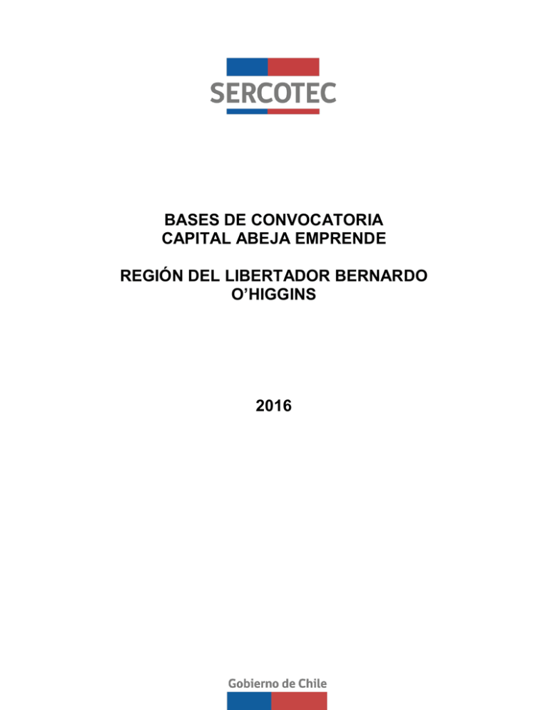 Bases Capital Abeja 2016