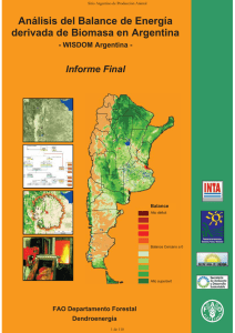 Análisis del Balance de Energía derivada de Biomasa en Argentina