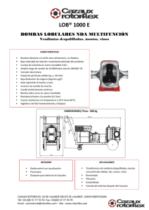 LOB® 1000 E - Cazaux Rotorflex