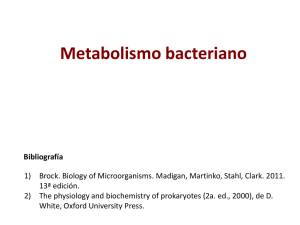 Clase 9 Metabolismo Archivo