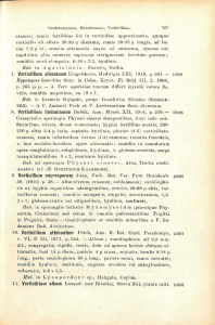 10. Verticiliium attenuatum Petcb, Ann. R. Bot. Gard. Peradeniya