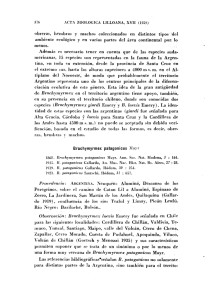 Page 1 376 ACTA ZOOLOGICA LILLOANA, XVII (1959) obreras