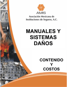 manuales y sistemas daños