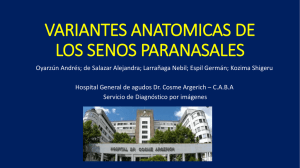 VARIANTES ANATOMICAS DE LOS SENOS PARANASALES