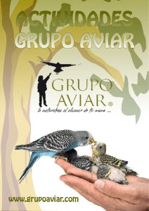 adivinanza - Grupo Aviar