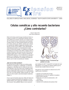 Células somáticas y alto recuento bacteriano