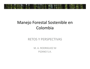 Manejo Forestal Sostenible en Colombia