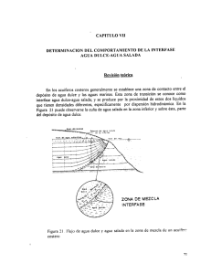 determinacion del comportamiento de la interfase agua dulce