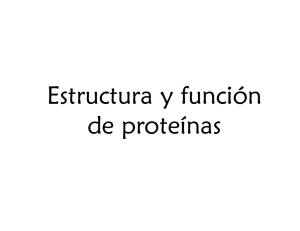 Estructura y función de proteínas