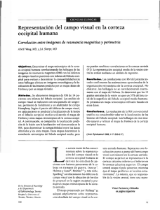 Representacion del campo visual en la corteza occipital humana