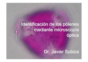 Identificación de los pólenes mediante microscopía óptica
