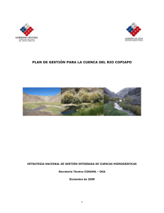 plan de gestión para la cuenca del rio copiapo