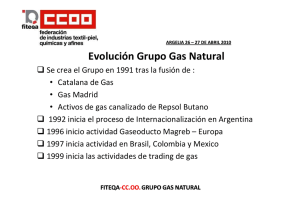 La industria del Gas Naturaol en España