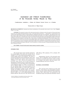 Anatomical and Clinical Considerations of the Pectoralis