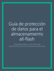 Guía de protección de datos para el almacenamiento totalmente