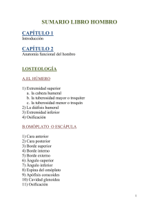 CAPITULO 2: ANATOMÍA FUNCIONAL DEL HOMBRO