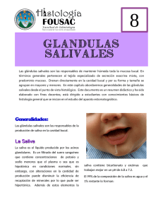 Glandulas salivales - Apoyo para la Fac. de Odontología – USAC