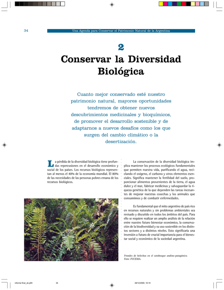 Conservar La Diversidad Biológica