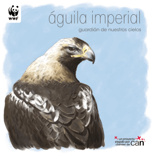 águila imperial