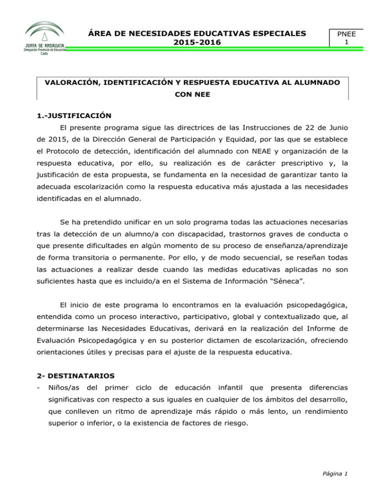 IDENTIFICACIÓN DE LAS NEE EN EL