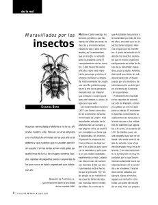Maravillados por los insectos - E