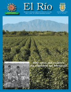 100 años del cultivo de algodón en Mexicali