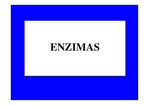 ENZIMAS