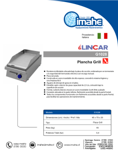 Plancha Grill G1028